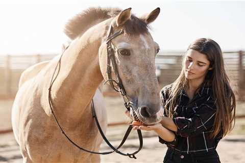 How to Choose the Best Horse Clipper - Critter Ridge