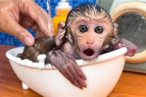 Monkey Baby Bon Bon Bath in the toilet and eats jelly lego so yummy