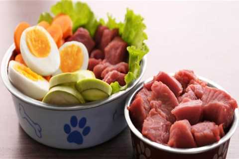 Is raw dog food best?