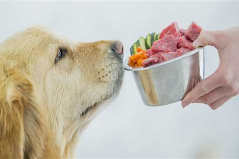 Is raw dog food actually raw?