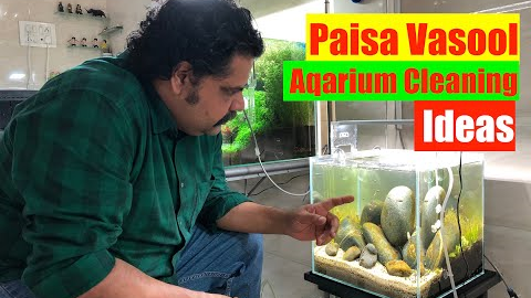How to Clean a Fish Tank | SIMPLE & EASY | Cleaning Up your Fish Tank Planted Aquarium Maintenance