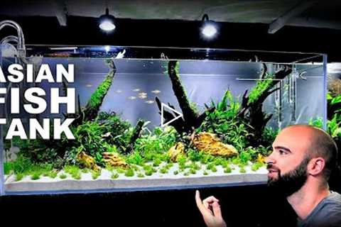 Aquascape Tutorial: EPIC 4ft Planted Asian Fish Aquarium (How To: Full Step By Step Guide)