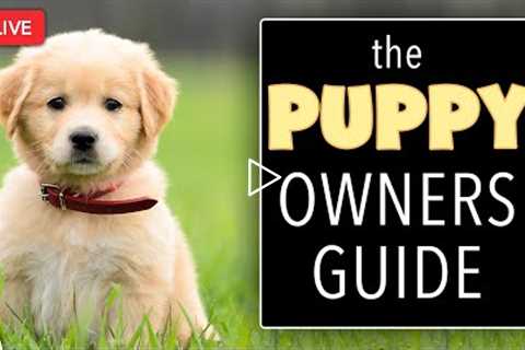 🔴 7 Things That Puppy Owners NEED To Know - Puppy Owners Guide