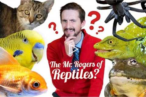 There is NO WAY that REPTILES make the best pets! So what is the best pet?
