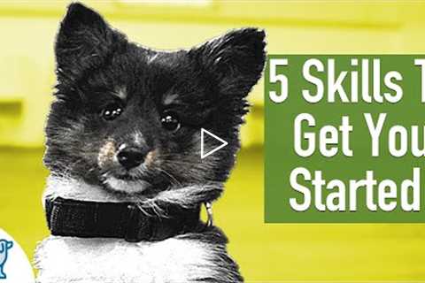 8 Week Old Puppy Training - 5 Exercises To Get You Started!