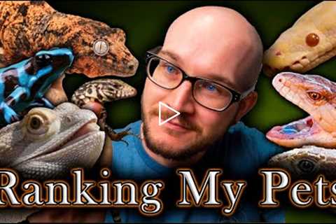 My Worst Pets? Ranking All My Pets | Reptile Tier List