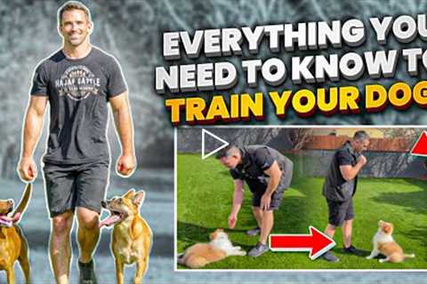 Everything You Need to Know to Train Your Dog.