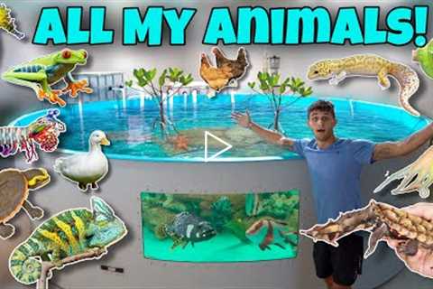 ALL My EXOTIC ANIMALS In ONE Video!! *Update*