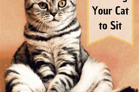 8 Easy Facts About Cat Training - Karen Pryor Clicker Training Explained 