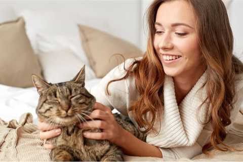 The Single Strategy To Use For Cat Care for Beginners: 7 Steps to a Great Start - Union Lake