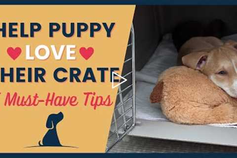 Crate Training Helping Your Puppy Love Their Space 5 Must Have Tips