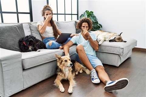 Silent But Deadly: Flatulence in Dogs