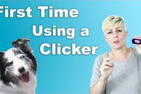 How to start CLICKER TRAINING