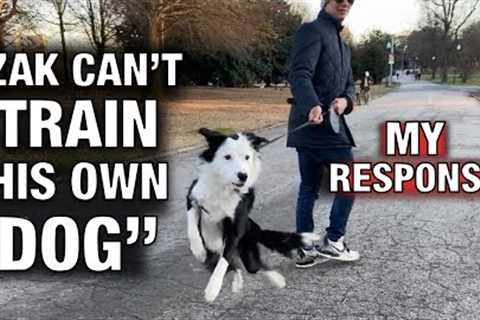 “Zak George Can’t Train His Own Dog”: My Response. How I Trained My Dog to Listen Off Leash