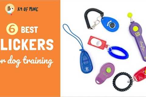 The Best Clickers for Dog Training: A Clicker Review!