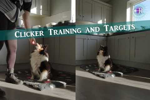 Clicker Training and Targets for Dogs