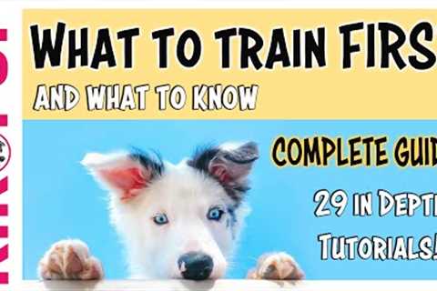 COMPLETE GUIDE to PUPPY TRAINING - What to train FIRST