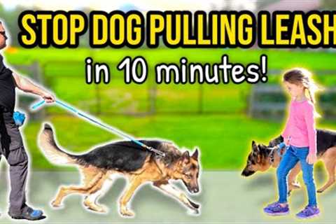 HOW TO STOP DOG PULLING ON LEASH - 10 minutes to Perfect Walk Guaranteed!