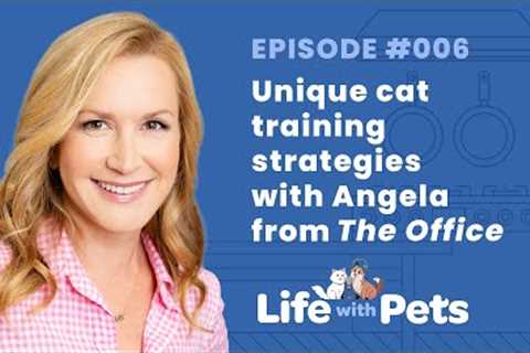 Training Your Cat- Life with Pets Podcast Episode 6