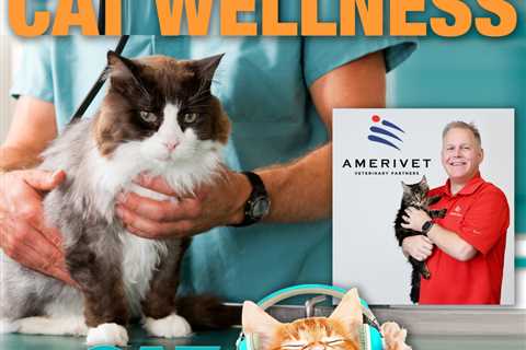 Feline Wellness