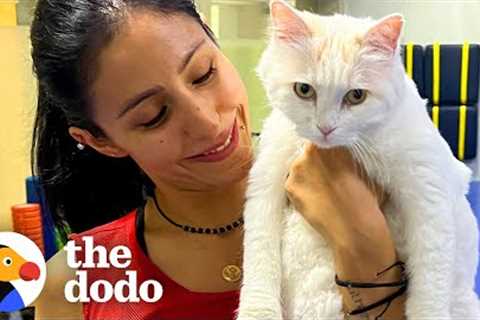 Rescue Cat Inspires A Whole New Gym Class! | The Dodo