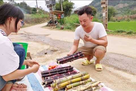 Harvest sugarcane garden, bring to market to sell, take care of vegetable garden | Lý An Nhiên