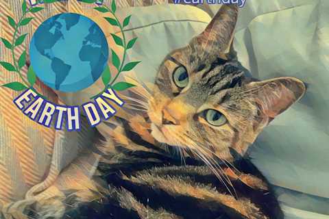 Happy Earth Day #CaturdayArt