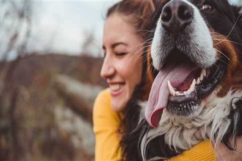 How to Keep Your Pet Healthy and Happy