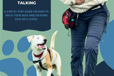 How to Walk a Blind Dog