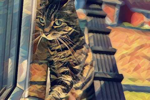 Walking In From The Catio #CaturdayArt