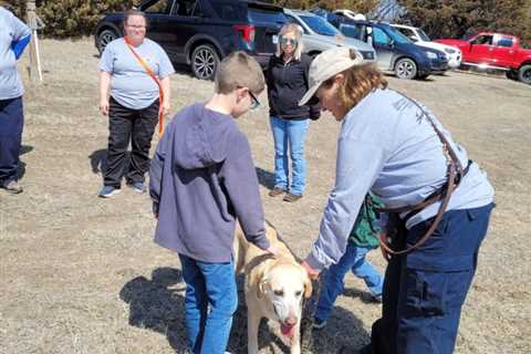 Young Child Donates Tonsils to Aid Human Remains Detection Dogs in Heartwarming Gesture