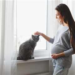 Can Cats Tell When You’re Pregnant? What to Expect & Preparation Tips