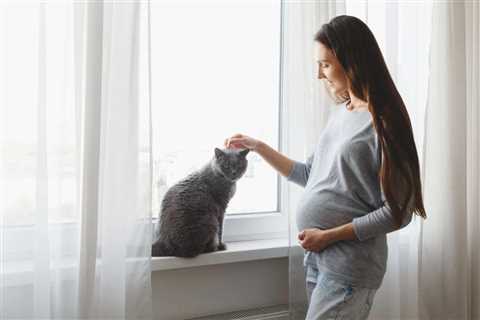 Can Cats Tell When You’re Pregnant? What to Expect & Preparation Tips