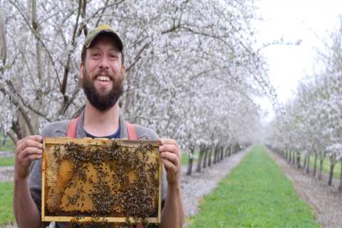 When is the Best Time to Start Beekeeping in Sacramento, CA?