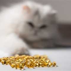 Fish Oil Benefits for Cats: Feeding Tips & Health Effects