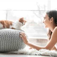 Can You Set Boundaries With Cats? Facts & FAQ