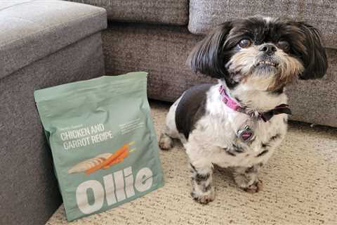 Ollie Dog Food Review: My Low-Energy Dog Tried Fresh Food For The First Time