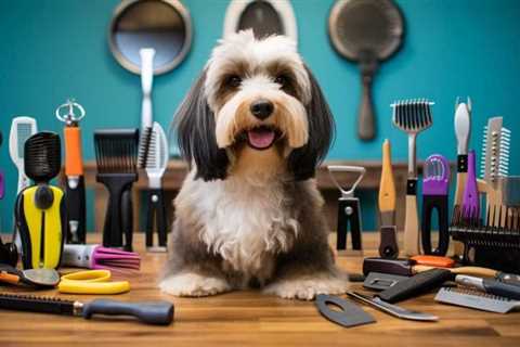 10 Must-Have Dog Grooming Essentials That Will Keep Your Pet Looking Great