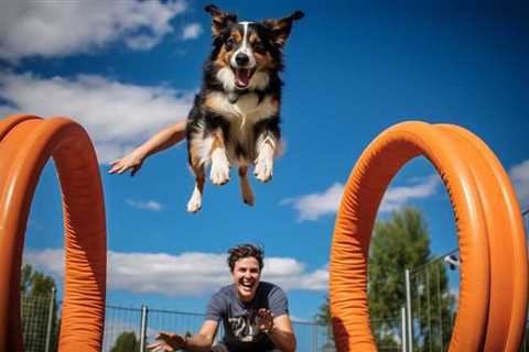 Unleash Fun: Dog Training Tips Galore!