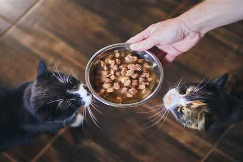 The Real Deal: Feline's Natural Cat Food