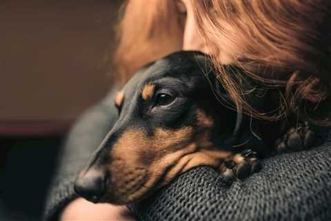 4 Weird Ways Stress Can Affect Your Dog