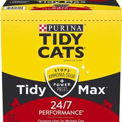 Purina Tidy Cats Review: Tidy Max 24/7 Litter