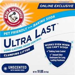 Arm & Hammer Litter Review: Cat-Approved Freshness!