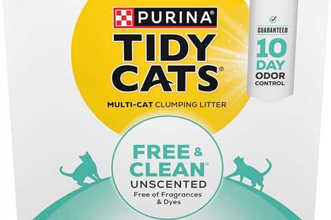 Purina Tidy Cats Clumping Cat Litter Review