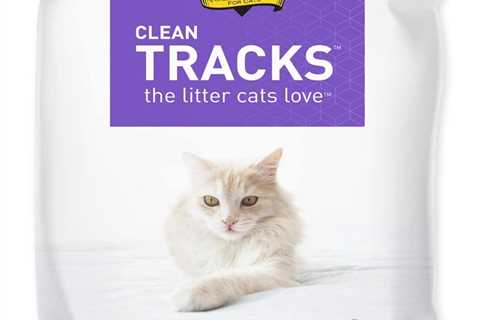 Dr. Elsey’s Litter Review: Say Goodbye to Dust