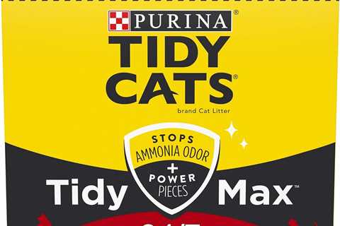 Purina Tidy Cats Review: Tidy Max 24/7 Litter