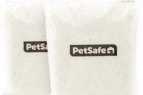 PetSafe ScoopFree Review: Outperforms Clay Litter