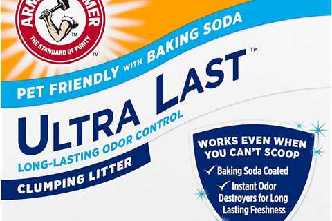 Arm & Hammer Litter Review: Cat-Approved Freshness!