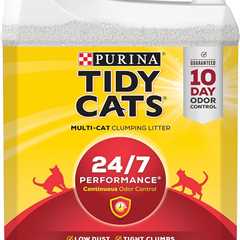 Tidy Cats Scoop Review: A Clumper’s Delight