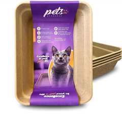 Disposable Cat Litter Box Review: Sturdy and Spacious
